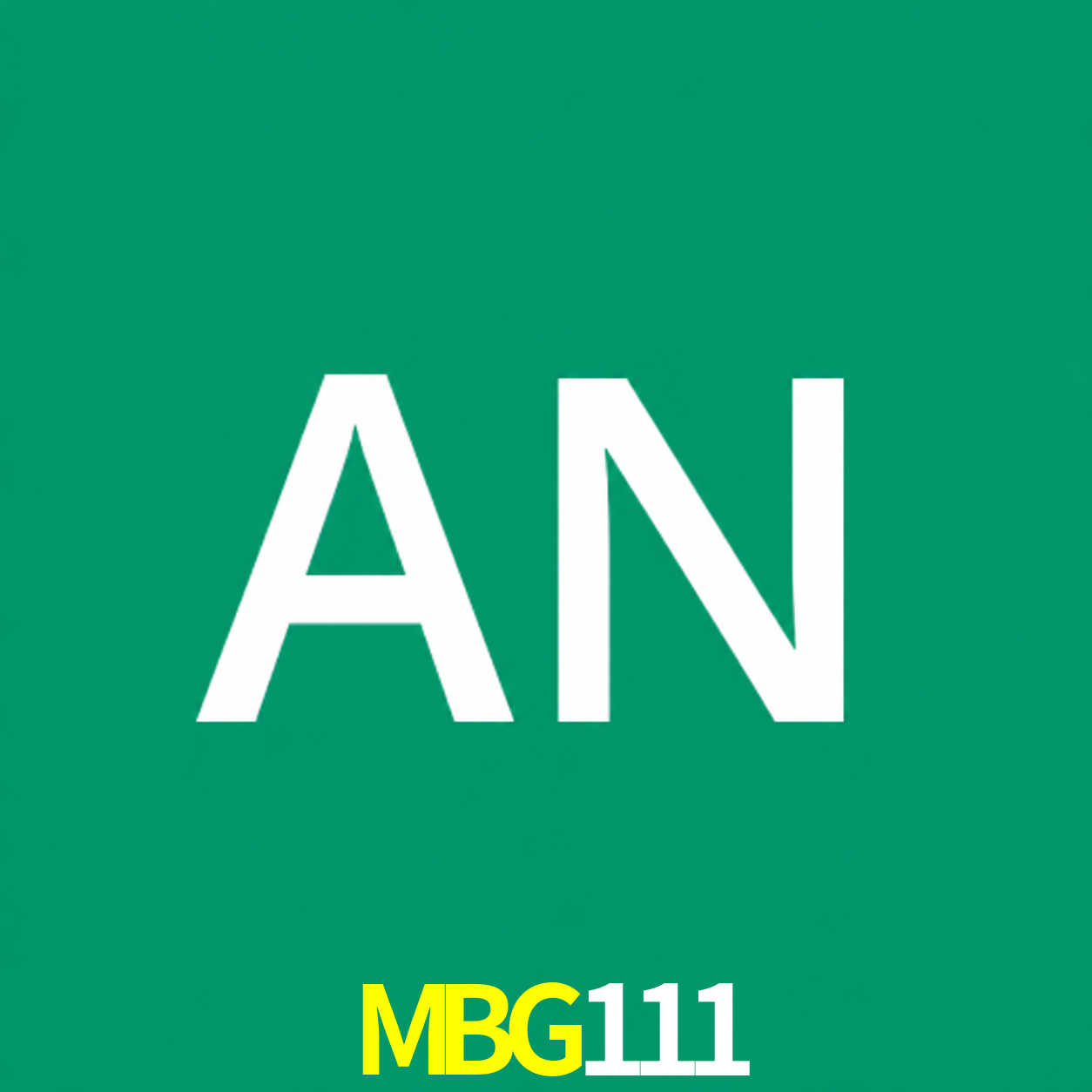 Adi Nugroho - Founder & CEO MBG111 Indonesia